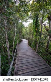 Walking Path In The Barron Gorge, Cairns, Australia