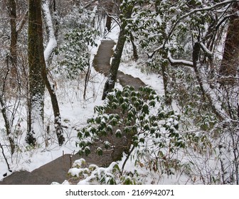 A Walking Path Down A Snowy Mountain