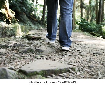 Walking in path in forest