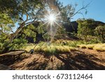 Walking path in a forest in Australia