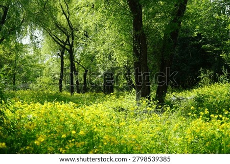 The walking path of the Han River, where baby poop grass is in full bloom, lets you know that this is the Han River basin and the natural environment is good.