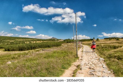 Walking Path In Krkonose National Park