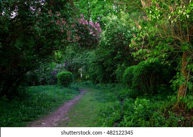 walking path leading to a charming fairy tale, in the garden on a spring day