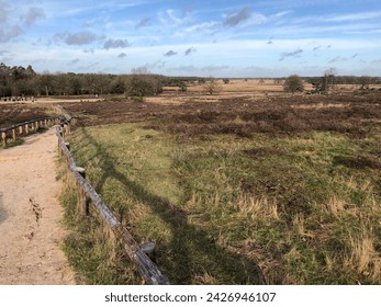 walking path lined with poles and tree trunks over the sandy hill and past a dolmen