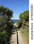 Walking path to the ocean