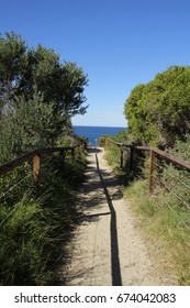 Walking path to the ocean