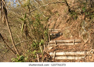 walking path on a mountain
