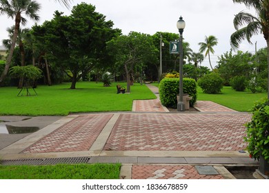 Walking Path On Singer Island 