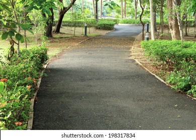 Walking Path In The Park