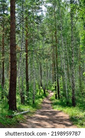 Walking path in the park