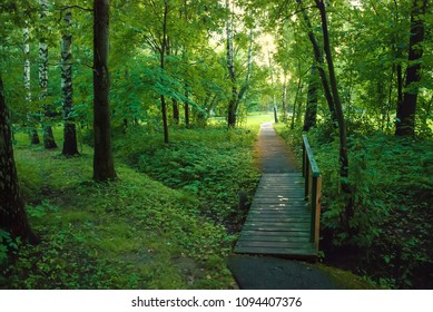 walking path in a spring park with deciduous trees