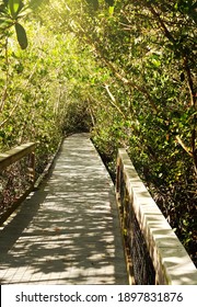 A walking path surrounded by mangrove trees in the J.N. Darling National Wildlife Refuge on Sanibel Island Florida                               - Shutterstock ID 1897831876