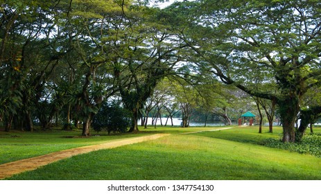 Kinta Nature Park Images Stock Photos Vectors Shutterstock