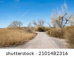 Walking Path that is part of the trail system at Clark County Wetlands Park in Henderson, Nevada