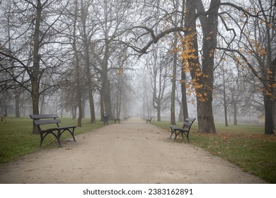 A walking path through a tranquil park - misty autumn background