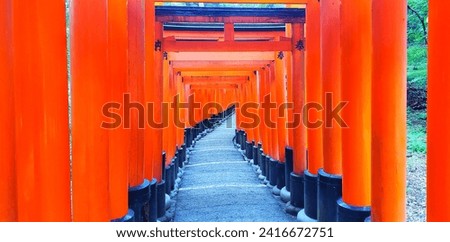 Walking path through a tunnel of red torii gates at Fushimi Inari Taisha Shrine in Kyoto, Japan, Translation: dedication