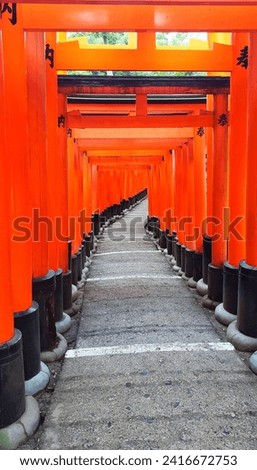 Walking path through a tunnel of red torii gates at Fushimi Inari Taisha Shrine in Kyoto, Japan, Translation: dedication