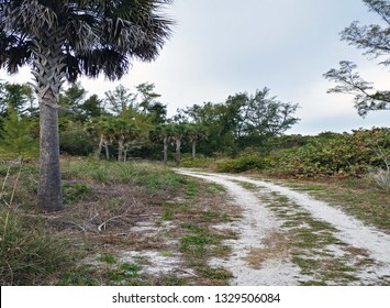 Walking path under a cloudy sky