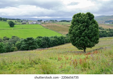 Walking Pennine Way Near Cumbria. The Landscapes Around Alston Town, Highest Market Settlement In England, Selective Focus