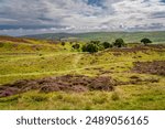 Walking the Pilgrims Way in North Wales Uk