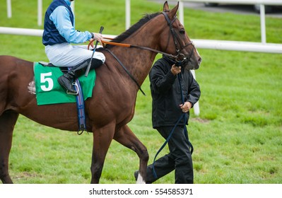 Walking Race Horse And Jockey To The Start Line On The Track