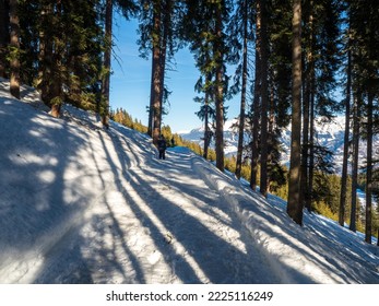 Walking Route In The Woods In Winter In Resort Ladis, Fiss, Serfaus In Ski Resort In Tyrol. Austria January 2018.