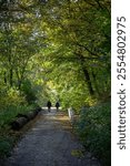  Walking routes through Hamburg parks. Vertical frame. High quality photo