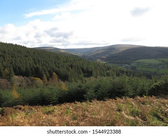 Walking In The Slieve Bloom Mountains