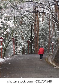 walking in snow forest