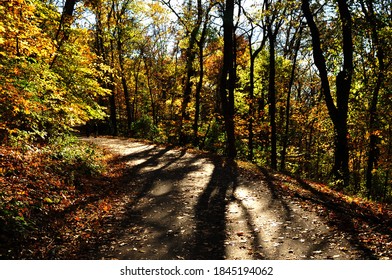 Walking Through Colourful Foliage During Fall At Franklin TN