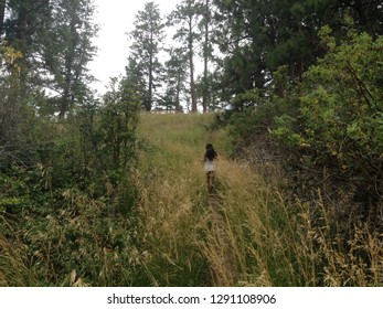 Walking through the forest.