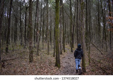 Walking through the forest