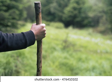 walking through forest during hike, close up of hand holding walking stick. 