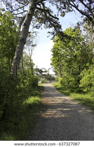 Similar – Zwei Menschen wandern auf einem Berg