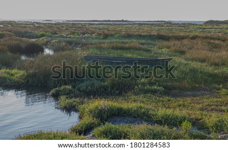 Similar – a tideway leads through the blooming salt marshes on Hallig Gröde