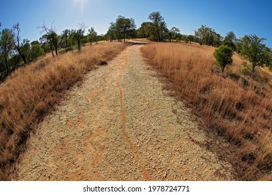 A Walking Track Through The Bush In Country Australia With Sun Flare, Fish Eye Lens