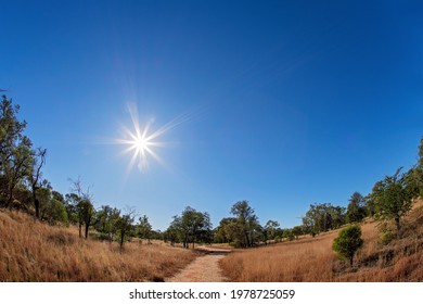 A Walking Track Through The Bush In Country Australia With The Sun Glaring In A Clear Blue Sky, Fish Eye Lens