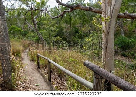 A walking track through bushland down to a dry creek bed