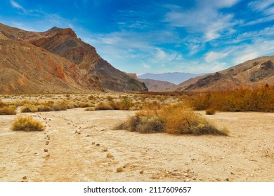 Walking Track Through The Desert At China Ranch Date Farm, Tecopa, California
