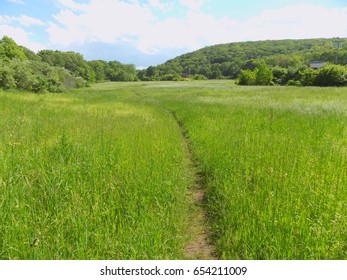walking trail