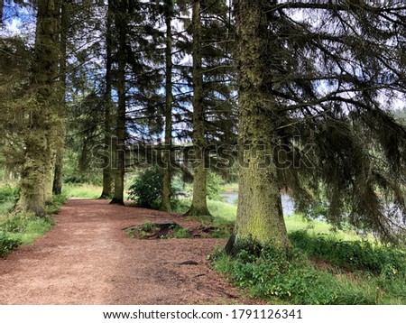 Walking trail around the Cod Beck reservoir close to Osmotherley village in the north Yorkshire. 