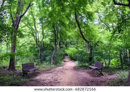 A walking trail and Bench