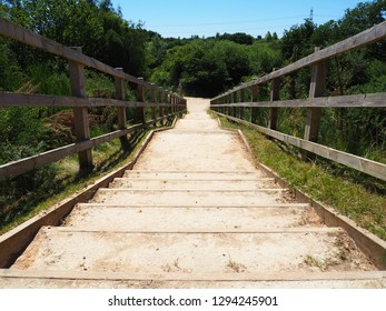 Walking trail heads down steps on summer day in british countryside, Whisby Nature Park
