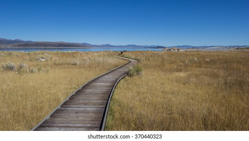 Walking Trail At Mono Lake In California, USA