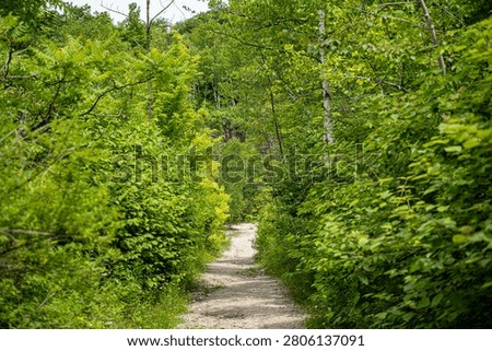 Walking trail in Mount Nemo Conservation Area, Burlington.