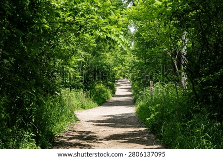 Walking trail in Mount Nemo Conservation Area, Burlington.