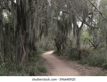 Walking Trail At Santa Ana National Wildlife Refuge, Texas