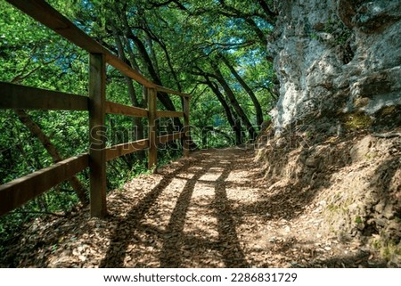A walking trail with a wooden fence. Saint James Way Walking Route, North El Camino de Santiago