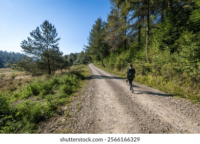 walking in the wild mountains