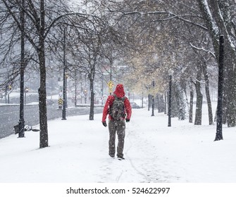 walking in the winter